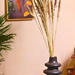 WEAVING HOMES Beige Dried Natural Jowar Flower Bunch-image-40