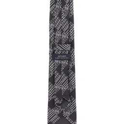 Alvaro Castagnino Men Woven Design Skinny Tie image 5