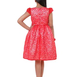 Wish little Girls Net A-Line Dress image 5