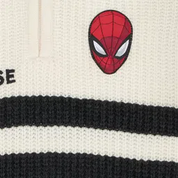 Pantaloons Junior Boys Striped Pullover image 5