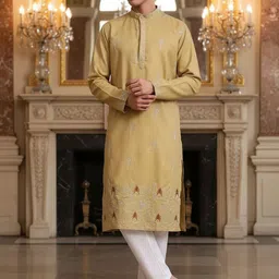 SZN Men Ethnic Motifs Embroidered Thread Work Kurta-picture-13