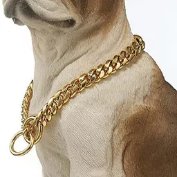 pet zone india Plain Dog Collar Charm image 3