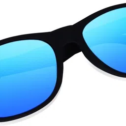 shade house Polarized Wayfarer Sunglasses (52) image 3