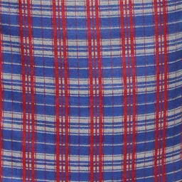 Alvaro Castagnino Men Blue & Red Checked Muffler image 4