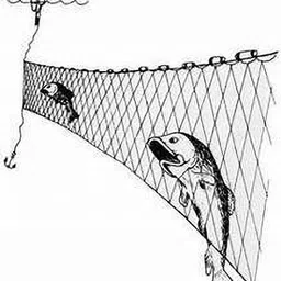 das departmental store 0.5 Kg to 1.5 Kg Size Fish Nylon Gill Net Diamond Mesh For Stable Water Fishing Net-picture-15