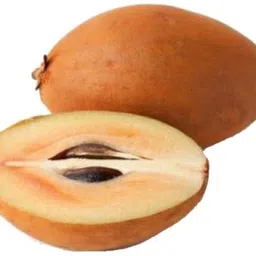 sapodilla Chiku Plant image 2