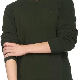 arrow Men Solid Round Neck Green Sweater-picture-12