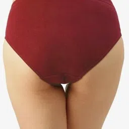 amul priya Pack of 3 Women Hipster Multicolor Panty image 2