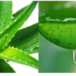 neycare matte new look compact powder new look pack of 1 Compact image 2