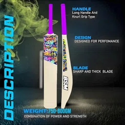 bsm WARRIOR HARD PLASTIC BAT FOR MEN AND WOMEN PVC/Plastic Cricket Bat For 15+ Yrs image 2