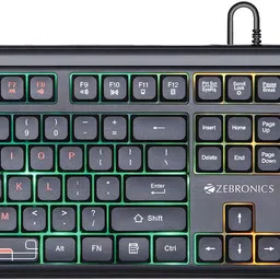 ZEBRONICS ZEB-KKB 3 Wired USB Standard Desktop Keyboard Compatible with Desktop, Laptop, Mac Easy to Use,Plug and Play,Quick, Comfy Durable body-picture-21