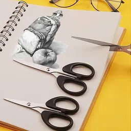 shrikhatushyam Heavy Duty Sharp Cooking Scissors for Kitchen Vegetable Scissors image 3