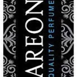 areon Black Crystal Car Freshener Spray image 2