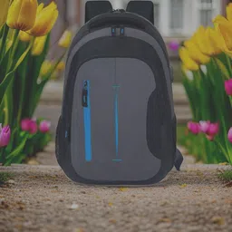 jairaj Large 38 L Laptop Backpack backpack bag laptop bag school backpag(20*14)-picture-12
