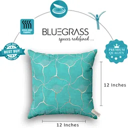 bluegrass Velvet Cushions & Pillows Cover image 3