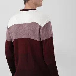 peter england Men Colorblock Round Neck Multicolor Sweater image 2