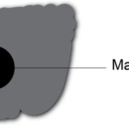 woopme Fridge Magnets Kitchen Home Décor SBFM2022AUGBP4948 Fridge Magnet Pack of 4 image 3