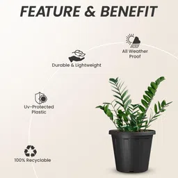 megha 10 INCH Planter Pack of 6 Nursery pots Plant Container Set image 4