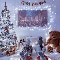 perikam 40 LEDs 15.25 m White Steady Ball Rice Lights image 4