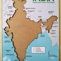 asvi India Map Wooden Puzzle with States and Union Territories image 4