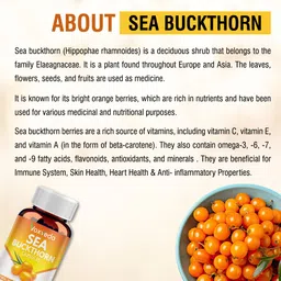 voxveda Sea Buckthorn Capsules Rich in Omega 3, 6, 7 & 9 - Immunity Booster image 3