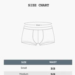 sankat mochan Pack of 2 Solid Men Trunk image 4