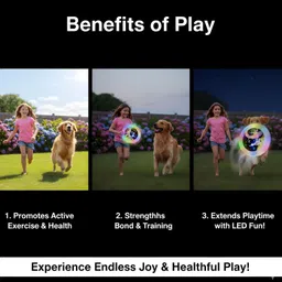 etvieio Ultimate Frisbee Disc Perfect for Night Time Outdoor Games and Dog Toy Plastic Sports Frisbee image 5