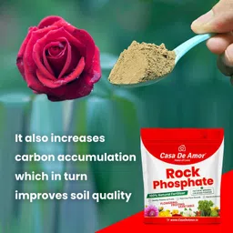 casa de amor Organic Rock Phosphate Essential Fertilizer All Purpose Crushed Powder for Fruiting and Flowering Plants Fertilizer image 2