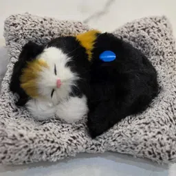 aperol design Sleeping Cute Cat Toy for Car & Home with Activated Carbon & Meow Sound Decorative Showpiece - 5 cm image 1