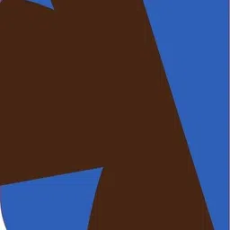 Cam cart Reflector-picture-12