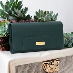 linus Casual, Formal, Party Green Clutch-picture-12