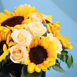 Blooms Wrapped In Sunrise Hues image 4