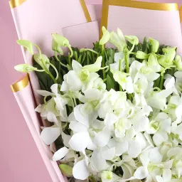 Love Beneath The Light image 5