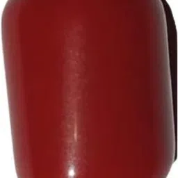 zoctalgem Oval Red Coral Red Moonga of 9.50cts for Pendant for Fengshui Vastu Polished Oval Crystal Stone-picture-17