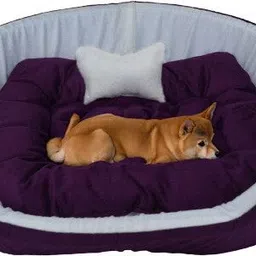 havens dream Dog Bed, Sofas Bed & Chairs Bed With Haddi XXXL Pet Bed-picture-11