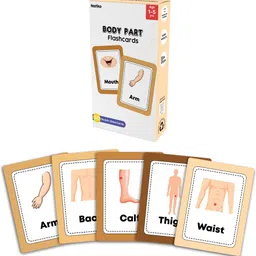 festiko 1 Set of 30 Pcs Body Parts Flashcards for Kids-picture-15