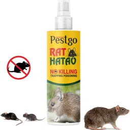 dr.pestgo rat killer, rodent repellent for car, rat spray for home, rat spray-picture-11