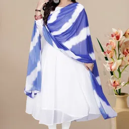 bindudi Printed Georgette Stitched Anarkali Gown-picture-14