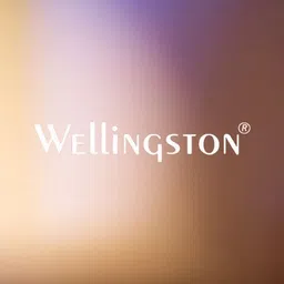 wellingston Etihad_a320scale new model image 5