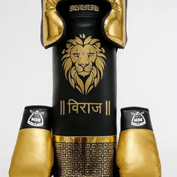 Viraj Boxing kit for playing indoor and outdoor Hanging Bag-image-5