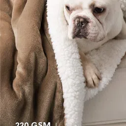 vas collections Solid Single Sherpa Blanket for Heavy Winter image 2