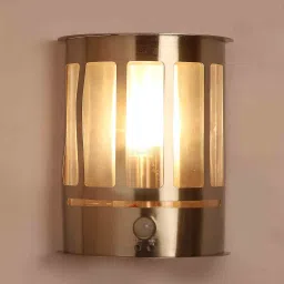 eliante by jainsons lights Caliente Silver Mild Steel Outdoor Wall Light image 3