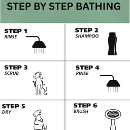 flufy care co FlufyCare Co. Neem Fresh Herbal Dog Shampoo 200ml Flea and Tick, Anti-fungal, Anti-dandruff, Allergy Relief, Hypoallergenic NEEM Dog Shampoo image 4