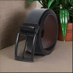 roadster Men Casual Multicolor Genuine Leather Belt-picture-18
