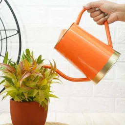 Orange Metal 1.5 L Watering Can By Gold Dust image 1