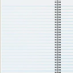 luxor Exercise Notebook-Spiral B5 Notebook Ruled 300 Pages image 2