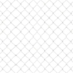 i geon UV Stabilized Nylon Pigeon Net_Bird Net_Monkey Net_6 X 10 Feet_White Color Camping Net image 2