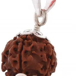 6 Mukhi Rudraksha Pendant Nepali Certified Wood Pendant-image-32