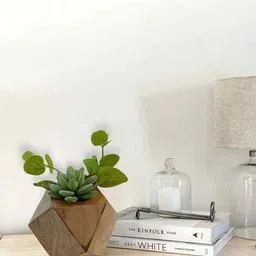 posh n plush Small Hexagon Wooden Vase With Artificial Succulent Plant image 1