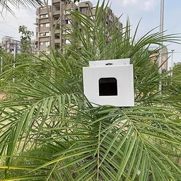 jia industries Corrugated Cardboard Sporrow Bird House Budgies and Finches with Air Ventilation and Mounting Hook Packaging Box image 4